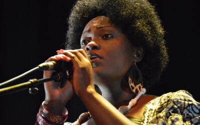 Les Artistes Congolais Vs le Web !